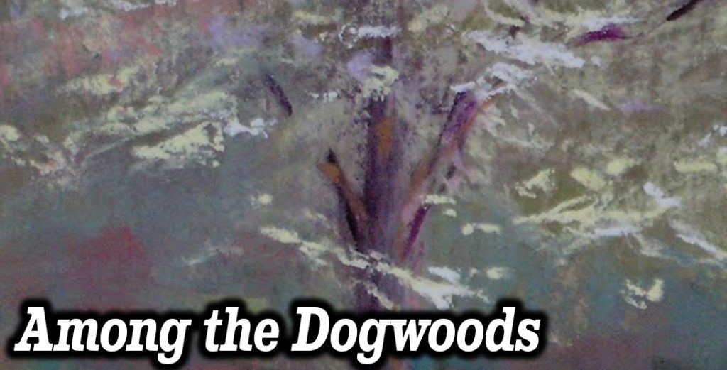 among-the-dogwoods